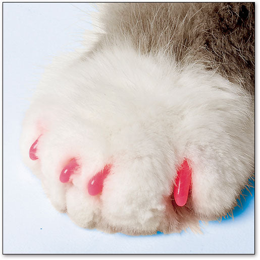 Soft Claws Nail Caps for Cats