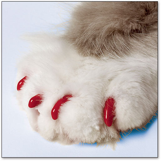 Soft Claws Nail Caps for Cats