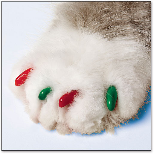 Soft Claws Nail Caps for Cats