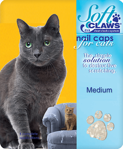 Soft caps online for cats