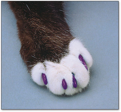 Soft Claws Nail Caps for Cats