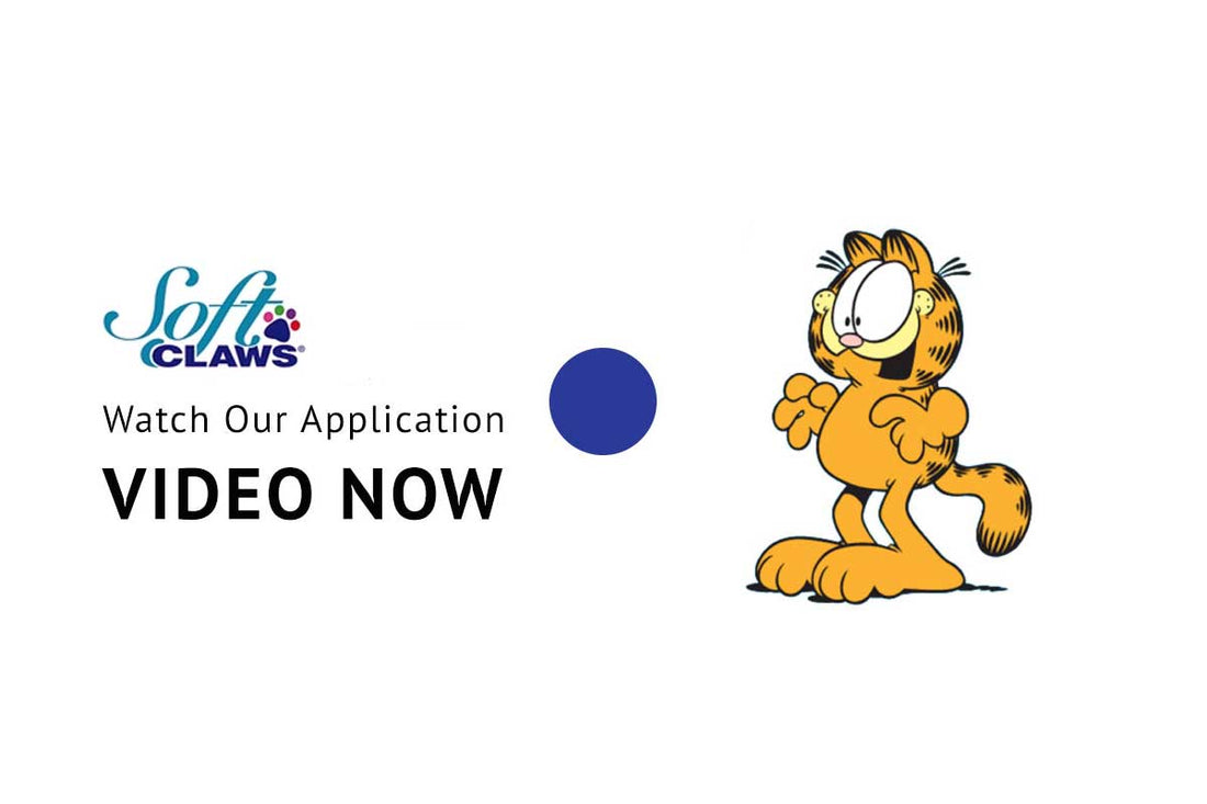 Applying sales soft paws