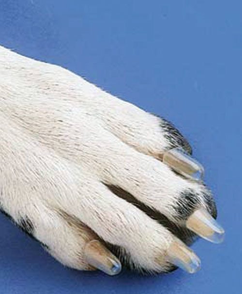 Soft Claws Nail Caps for Dogs Jumbo